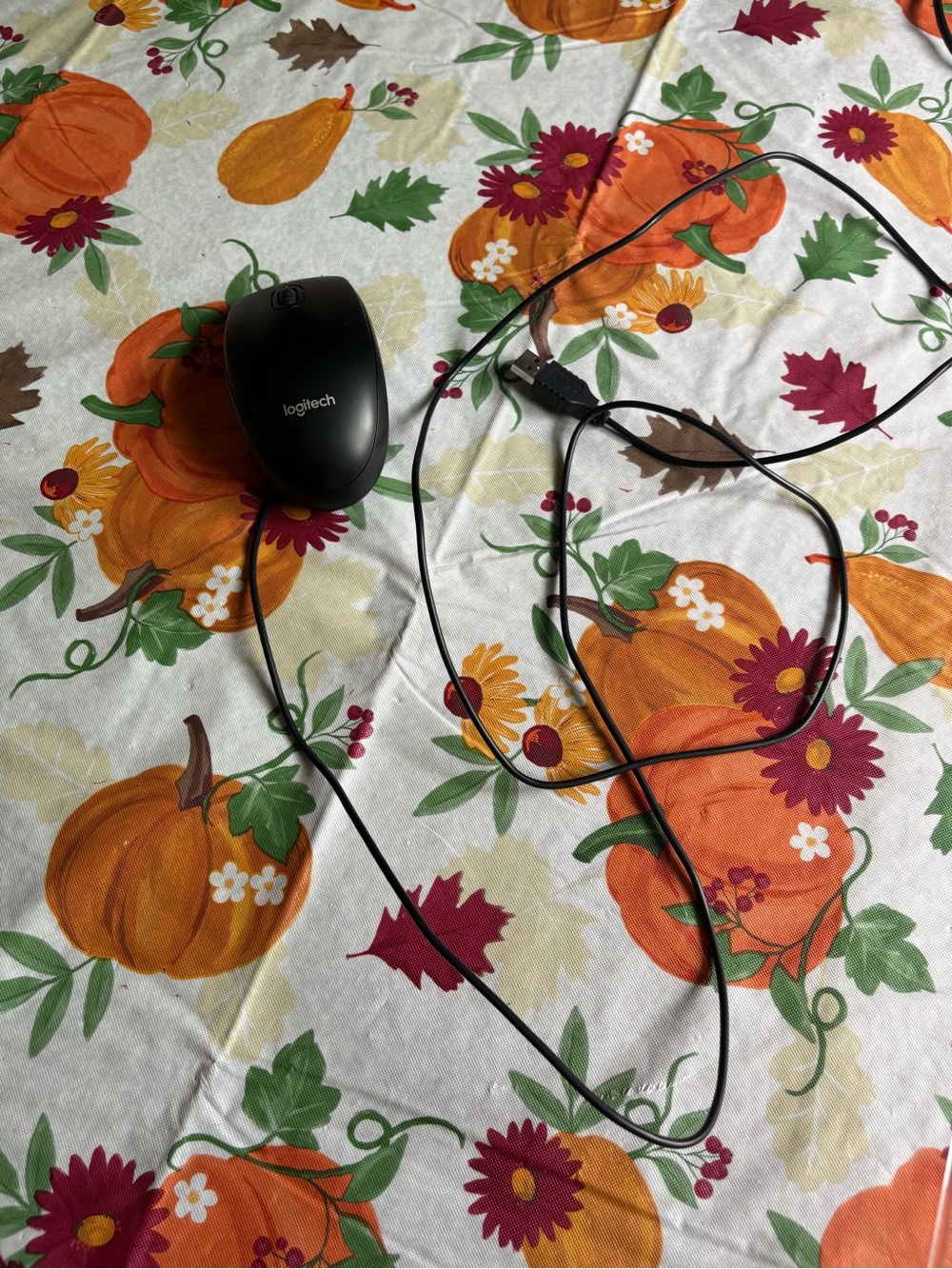 Computer Mouse - Picture 3 of 3